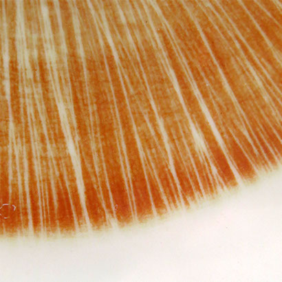 Color/Texture dinnerware 1 large